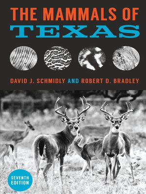 cover image of The Mammals of Texas
